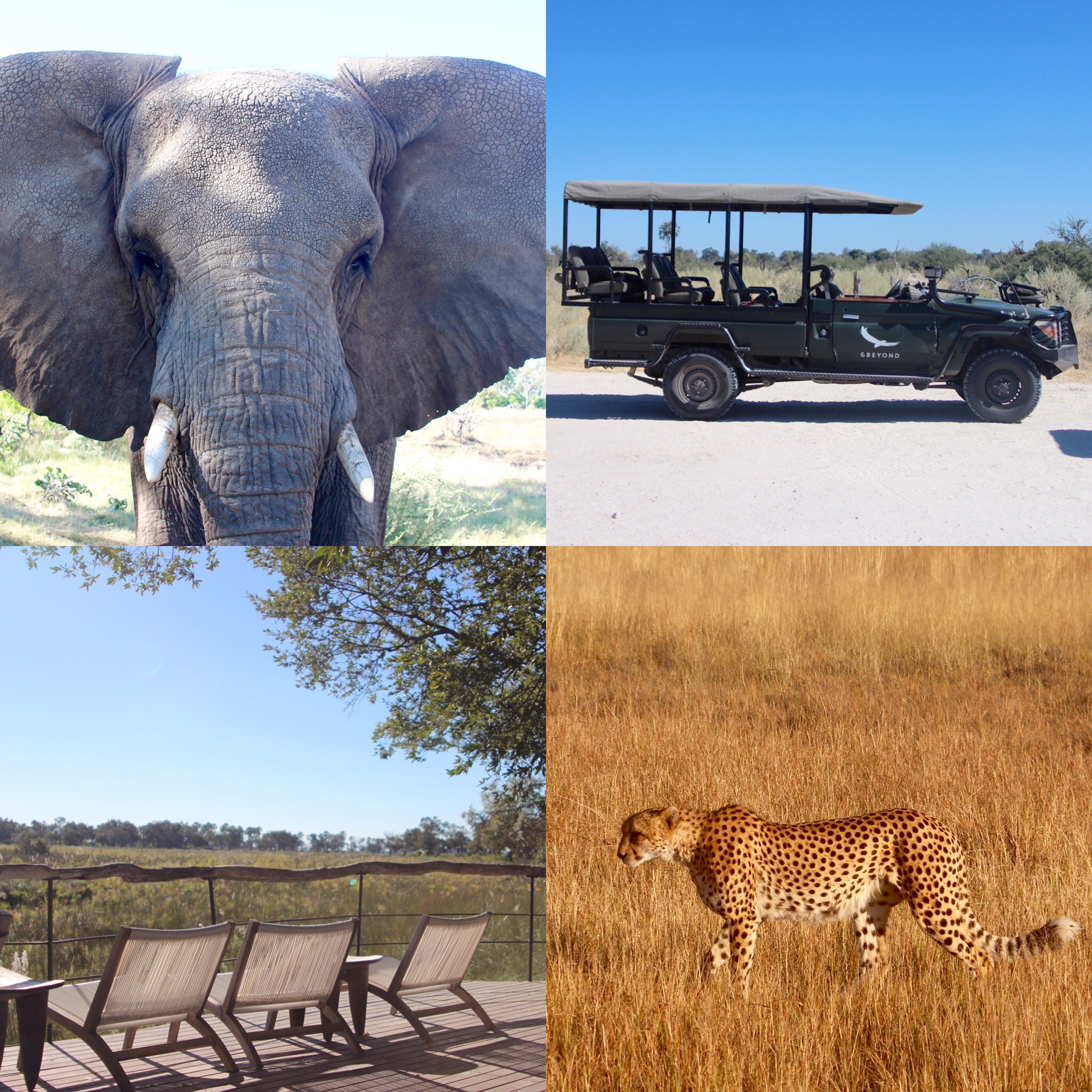 &Beyond Sandibe Okavango Safari Lodge 